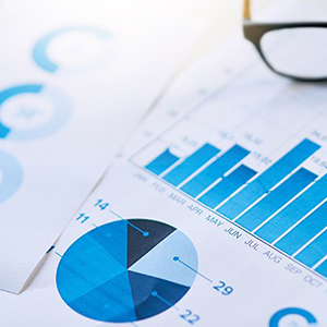 Yeminli Finansal Terc�me
